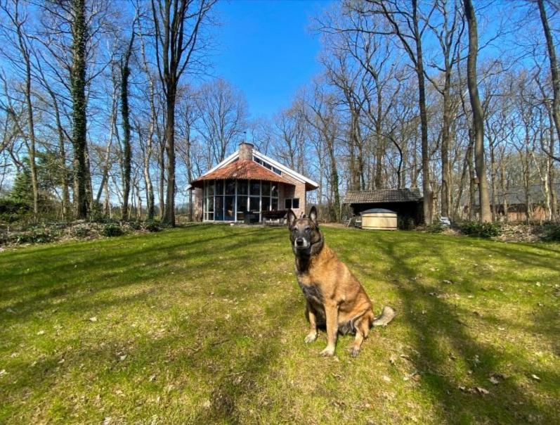 De Paddestoel Villa Wateren Luaran gambar